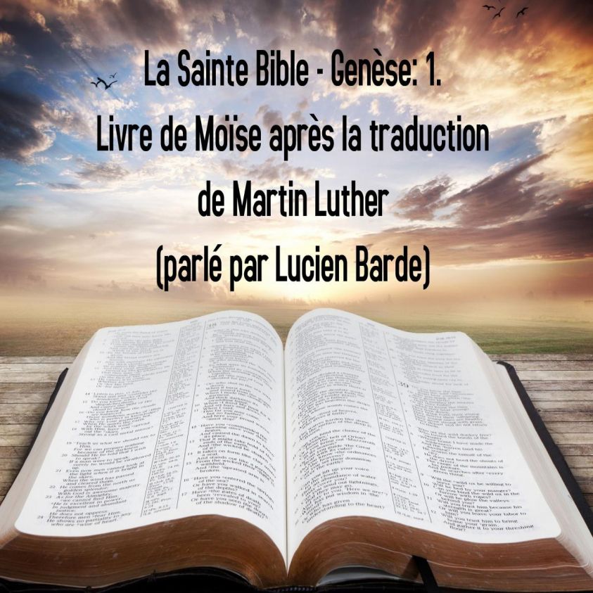 La Sainte Bible - Genèse: 1. Livre de Moïse après la traduction de Martin Luther photo 2