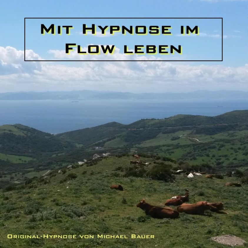 Mit Hypnose im Flow leben Foto 2