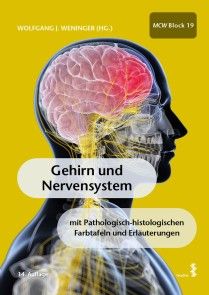 Gehirn und Nervensystem Foto №1