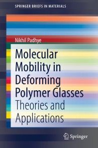 Molecular Mobility in Deforming Polymer Glasses photo №1