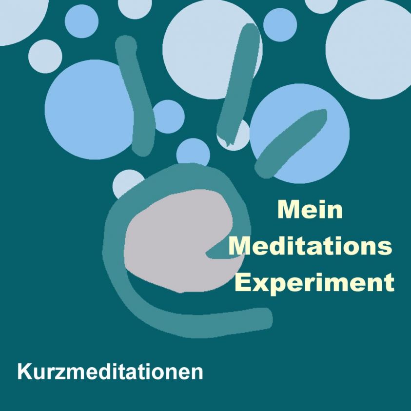 Das Meditations-Experiment Foto №1