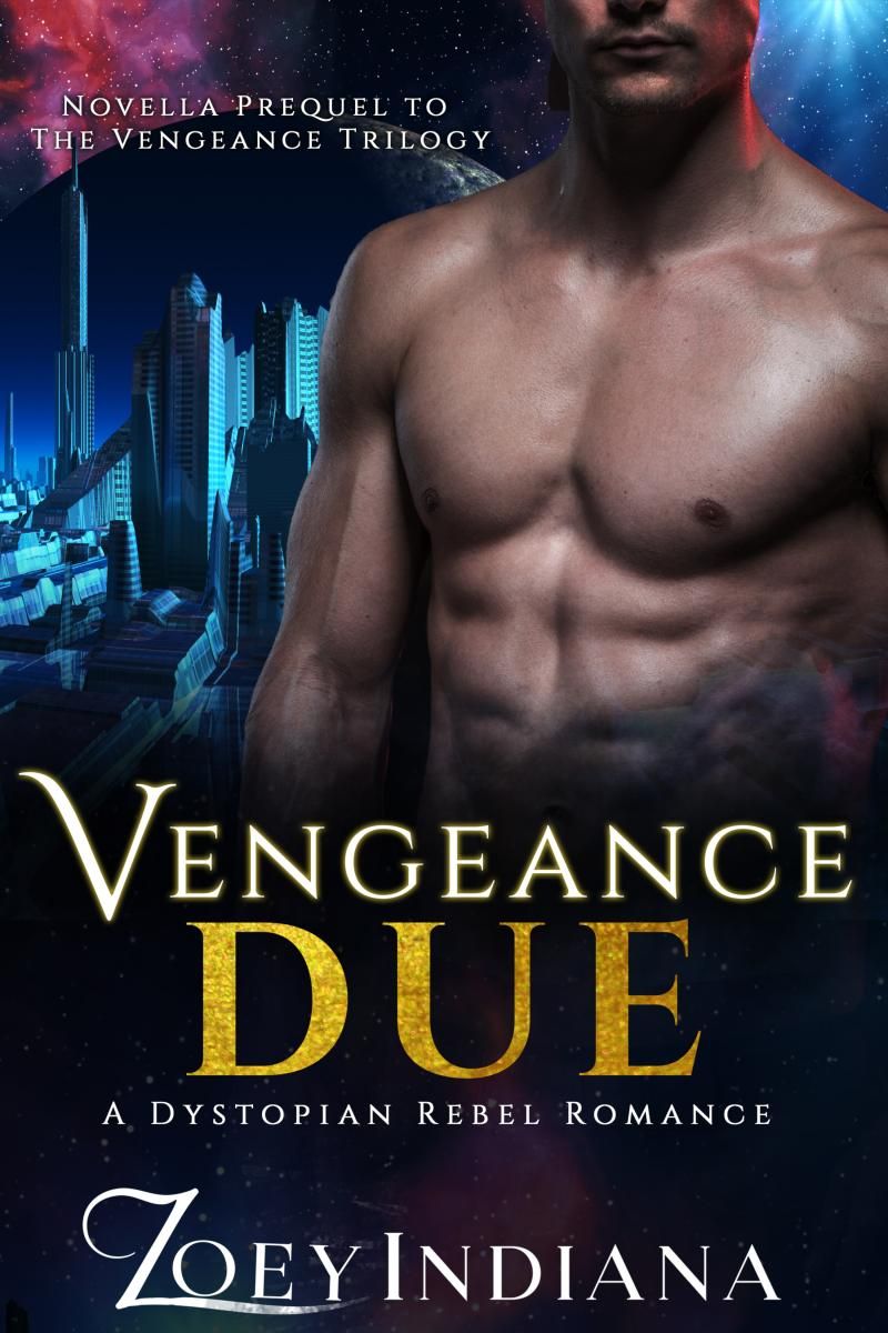 Vengeance Due - A Dystopian Rebel Romance photo №1