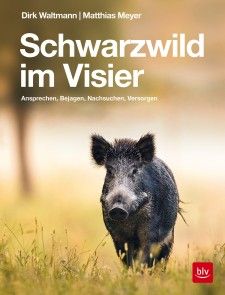 Schwarzwild im Visier Foto №1