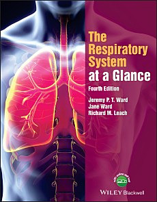 The Respiratory System at a Glance photo №1