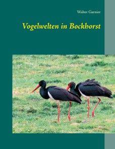 Vogelwelten in Bockhorst Foto №1