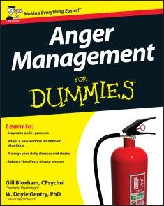 Anger Management For Dummies photo №1