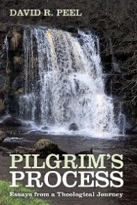 Pilgrim's Process photo №1