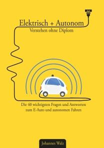 Elektrisch + Autonom: Verstehen ohne Diplom Foto №1