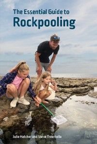Essential Guide to Rockpooling photo №1