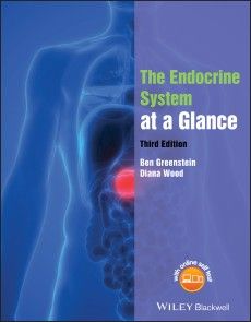 The Endocrine System at a Glance photo №1