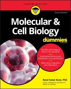 Molecular & Cell Biology For Dummies photo №1