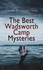 The Best Wadsworth Camp Mysteries photo №1