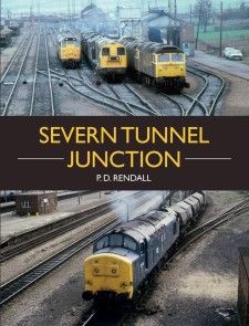 Severn Tunnel Junction photo №1