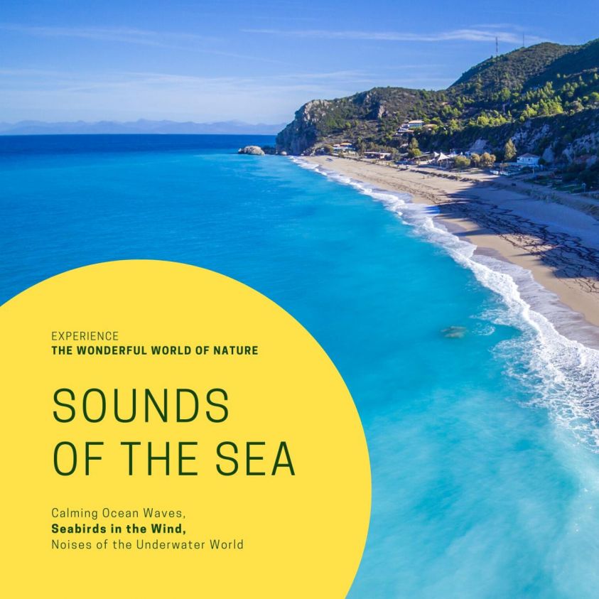Sounds Of The Sea: Calming Ocean Waves, Seabirds in the Wind, Noises of the Underwater World photo 2