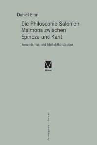 Die Philosophie Salomon Maimons zwischen Spinoza und Kant Foto №1