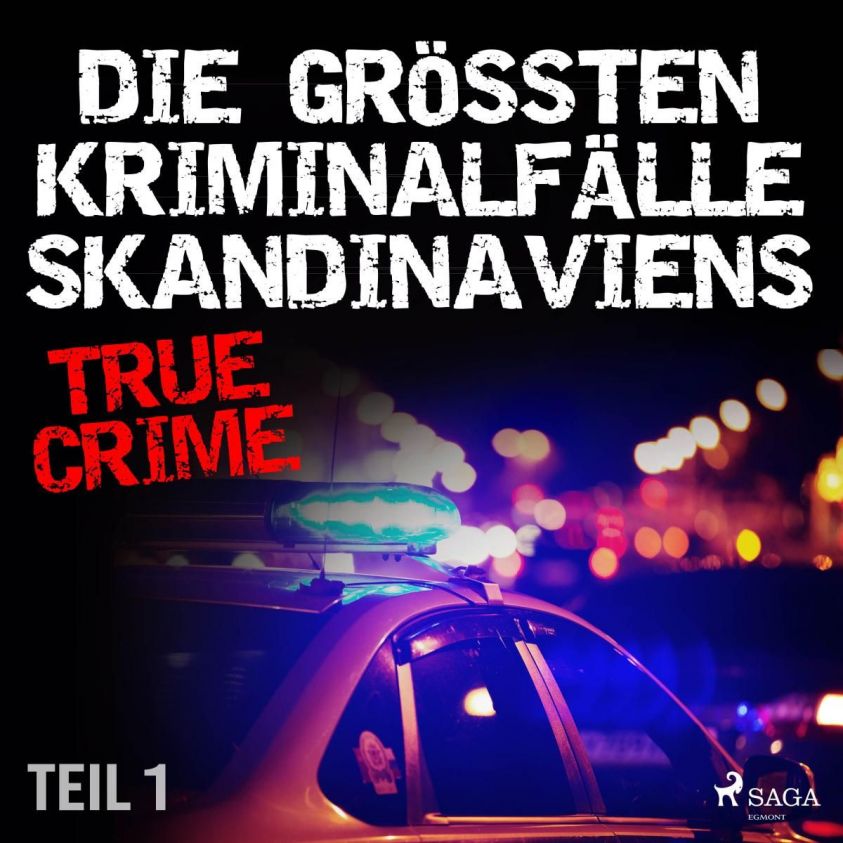 Die größten Kriminalfälle Skandinaviens - Teil 1 Foto №1