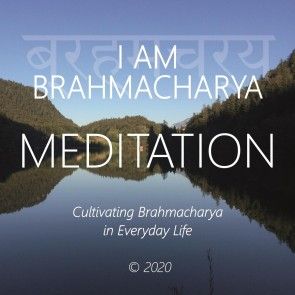 I Am Brahmacharya photo 1