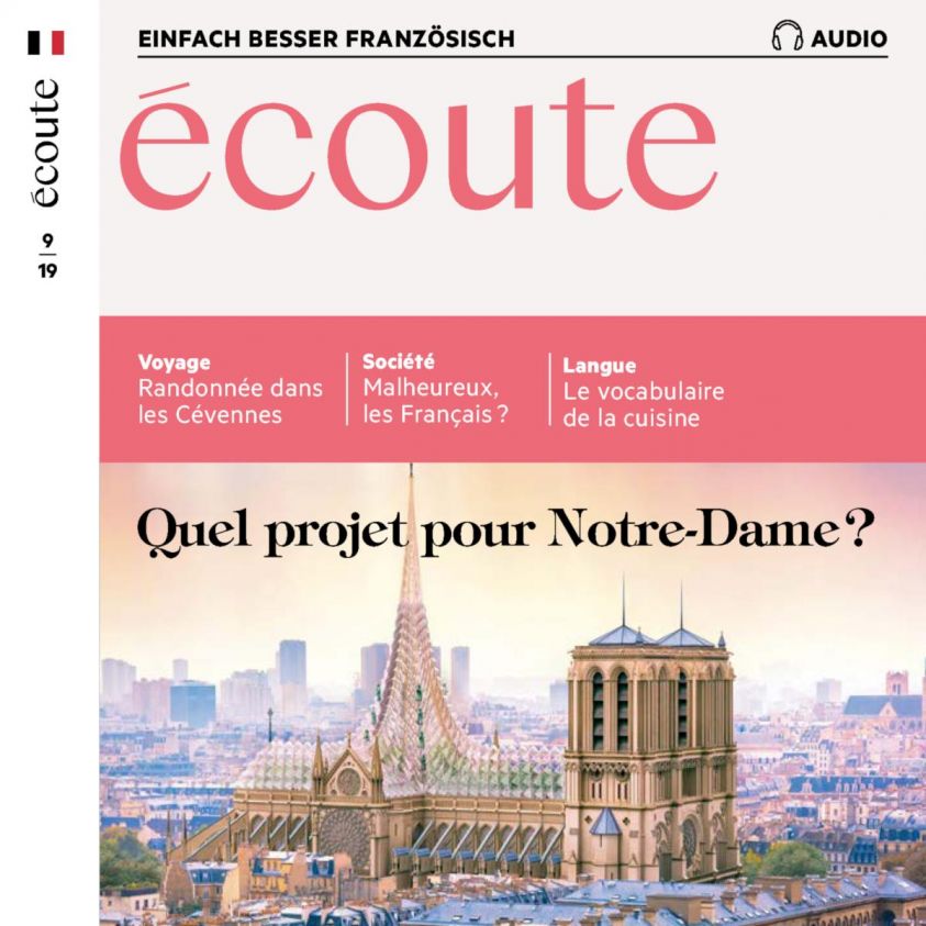 Französisch lernen Audio - Quel projet pour Notre-Dame ? photo 2