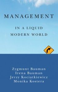 Management in a Liquid Modern World photo №1