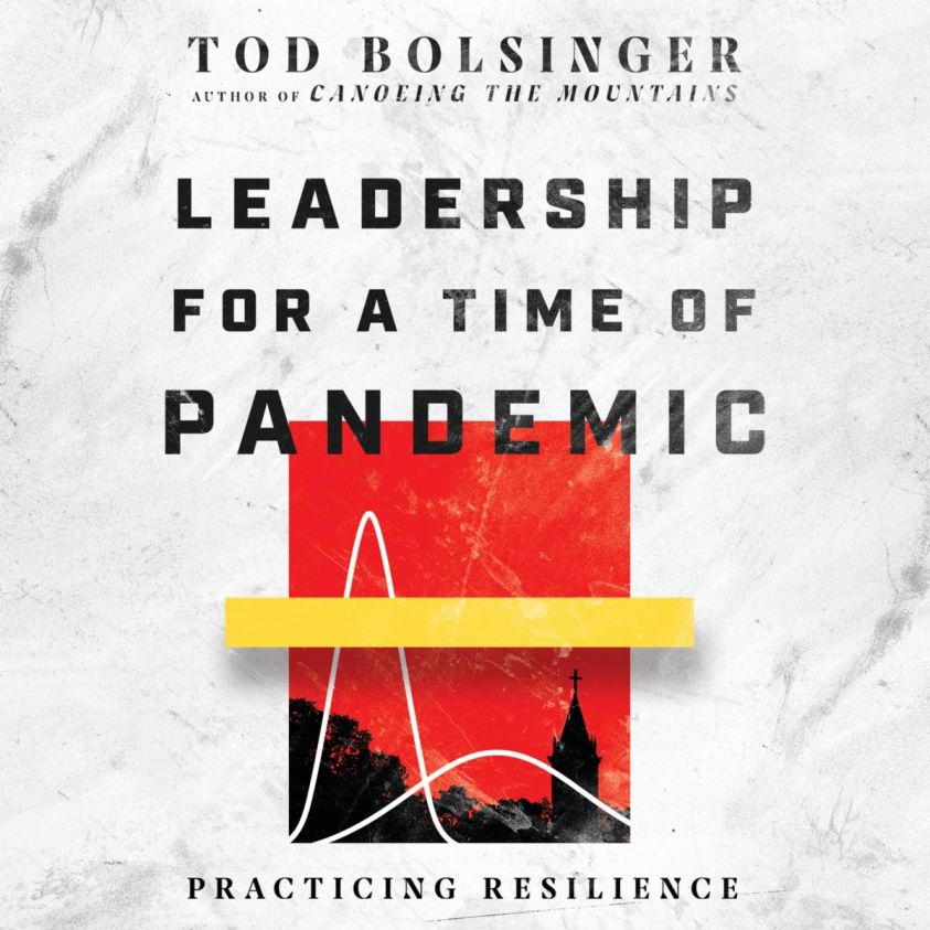 Leadership for a Time of Pandemic photo 2