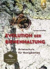 Evolution der Bienenhaltung Foto №1