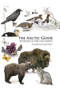 Arctic Guide photo №1