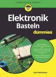 Elektronik-Basteln für Dummies Foto №1