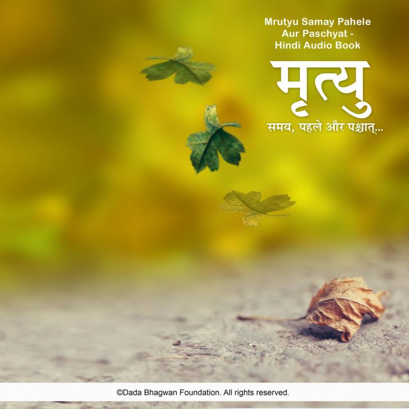Mrutyu Samay Pahele Aur Paschyat - Hindi Audio Book photo 2