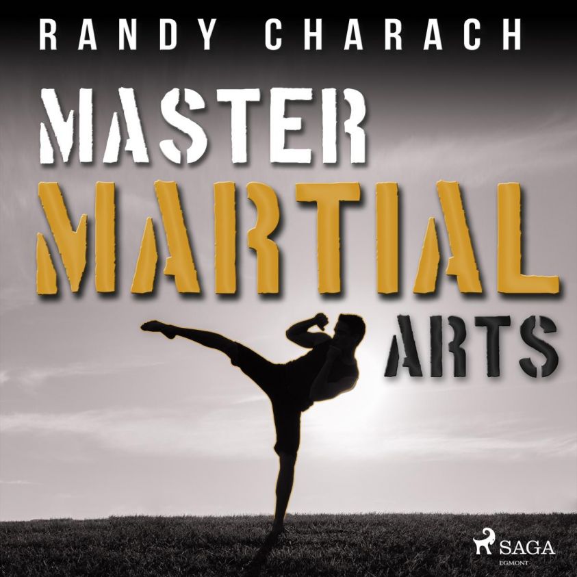 Master Martial Arts photo 2