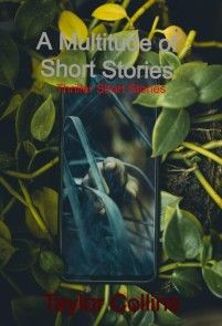 A Multitude of Short Stories photo №1
