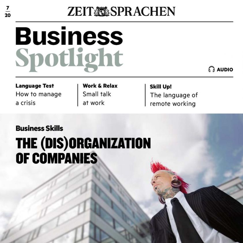 Business-Englisch lernen Audio - The (dis)organization of companies photo 2