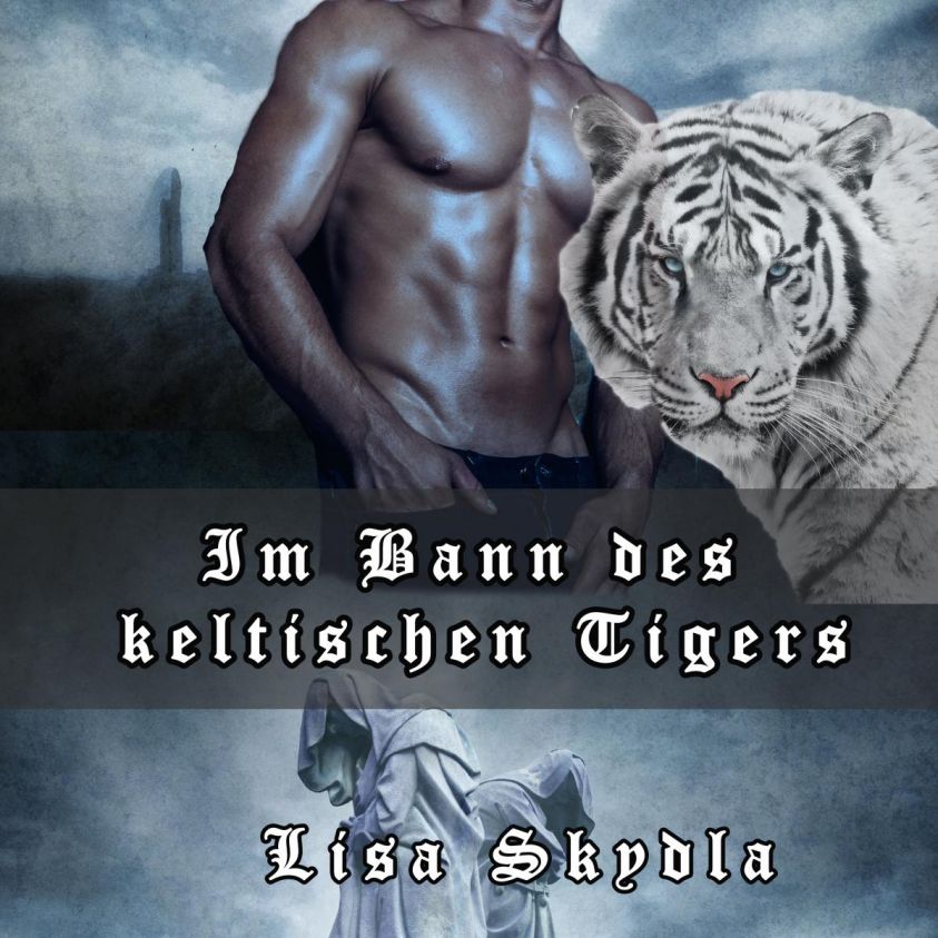 Im Bann des keltischen Tigers Foto 2