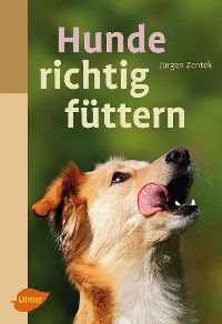 Hunde richtig füttern Foto №1