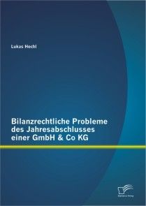 Bilanzrechtliche Probleme des Jahresabschlusses einer GmbH & Co KG photo №1