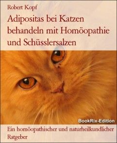 Adipositas bei Katzen behandeln mit Homöopathie und Schüsslersalzen Foto №1