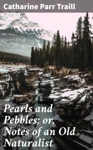 Pearls and Pebbles; or, Notes of an Old Naturalist photo №1