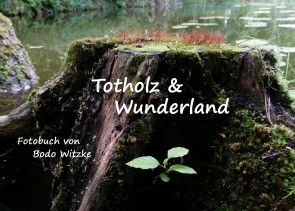 Totholz & Wunderland Foto №1