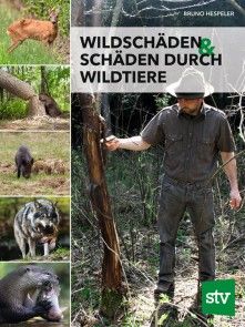 Wildschäden & Schäden durch Wildtiere Foto №1