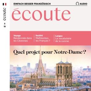 Französisch lernen Audio - Quel projet pour Notre-Dame ? photo 1