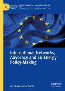 International Networks, Advocacy and EU Energy Policy-Making photo №1