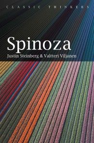 Spinoza photo №1