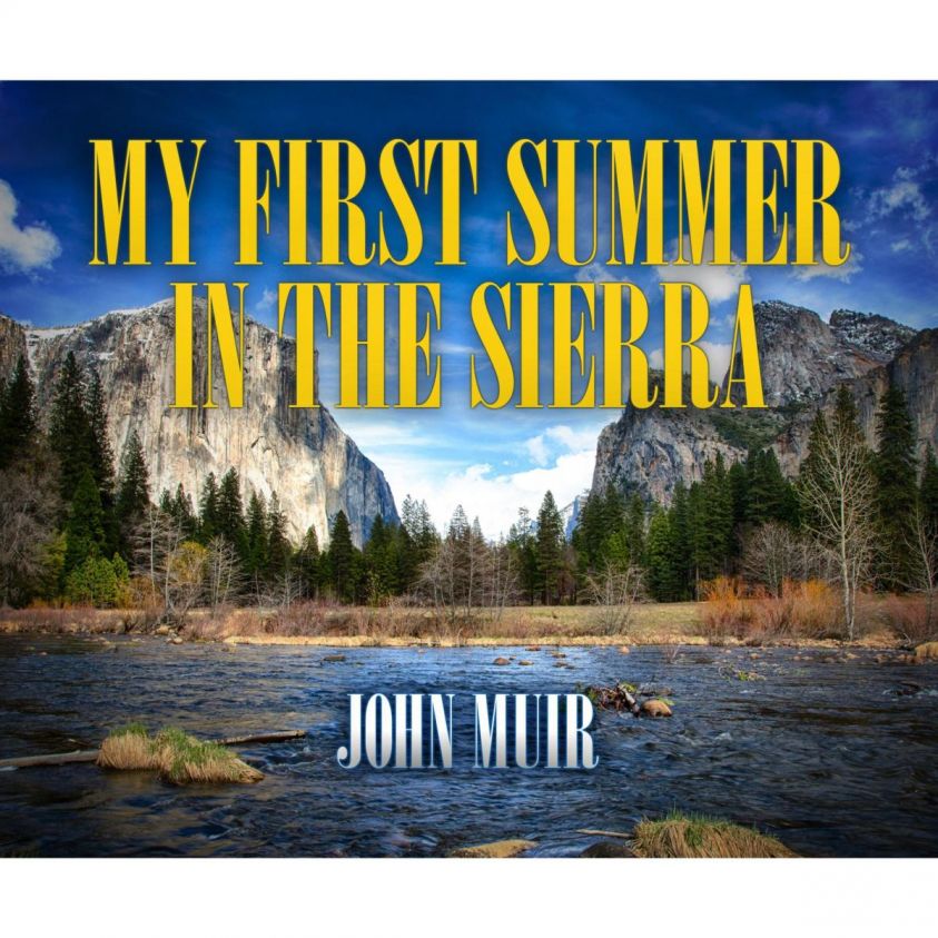 My First Summer in the Sierra photo 2