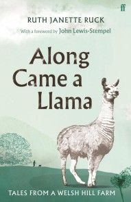Along Came a Llama photo №1