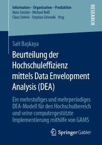 Beurteilung der Hochschuleffizienz mittels Data Envelopment Analysis (DEA) photo №1