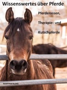 Wissenswertes über Pferde Foto №1
