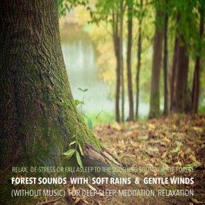 Forest Sounds with Soft Rains & Gentle Winds (without music) for Deep Sleep, Meditation, Relaxation photo 1