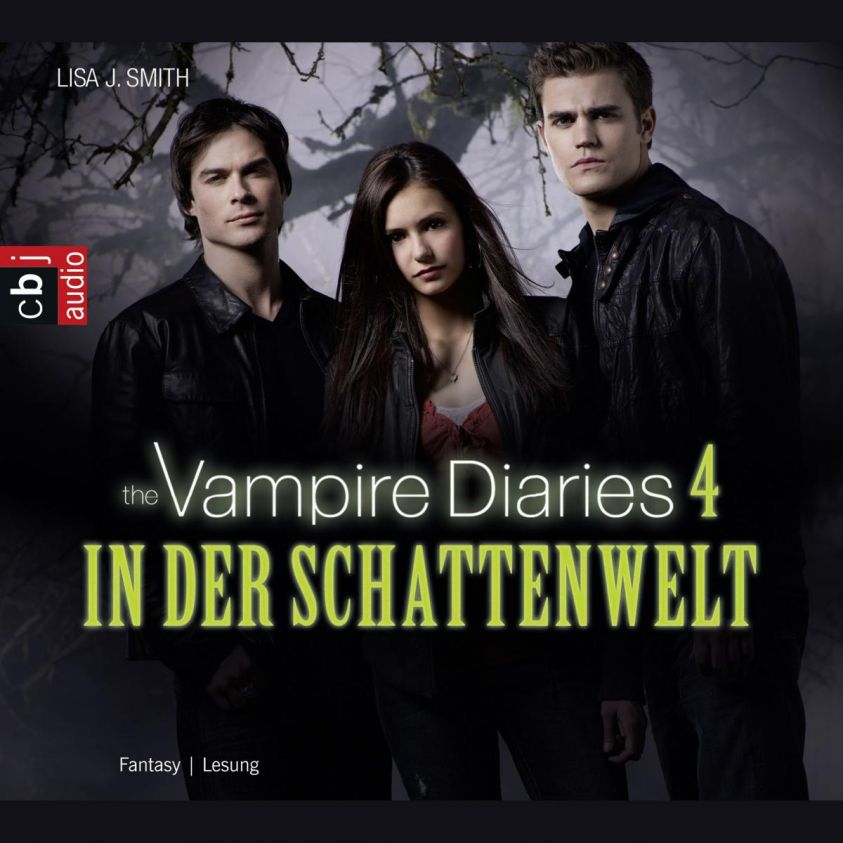 The Vampire Diaries - In der Schattenwelt Foto 2