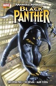 Marvel Knights: Black Panther Foto №1