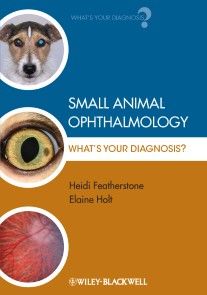 Small Animal Ophthalmology photo №1