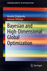 Bayesian and High-Dimensional Global Optimization photo №1